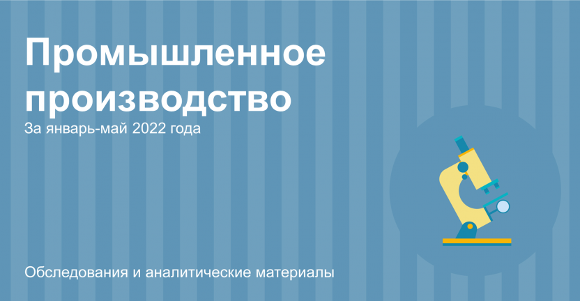 Промышленное производство Томской области в январе-мае 2022 года